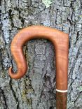 Shepard's Crook Walking Stick 1 small