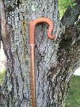Shepard's Crook Walking Stick 3 small