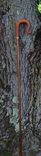 Shepard's Crook Walking Stick 4 small