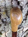 Shillelagh Walking Sticks 5 small