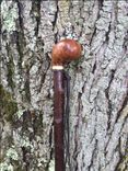 Shillelagh Walking Sticks 1 small