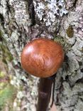 Shillelagh Walking Sticks 6 small