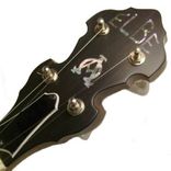 Mother Of Pearl Inlays For Bob's Banjo 1 small