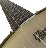 Mother Of Pearl Inlays For Bob's Banjo 2 small