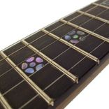 Mother Of Pearl Inlays For Bob's Banjo 3 small