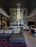 Pendant Lighting - Tanzania 4 small