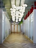 Pendant Lighting - Noga 5 small