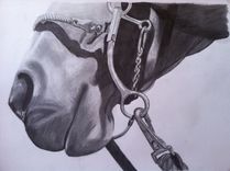 Original Graphite Drawing 1 small