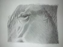 Original Graphite Drawing 4 small