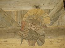 Turkey In Strut 1 small