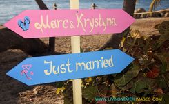 Beach Wedding Decor. Two Less Fish In The Sea. 6 small