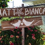 Personalized Wedding Sign. Beach Wedding Sign 1 small
