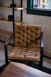 Lounge Chair 4 small