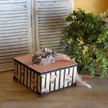 Vintage Rose Pinstripe Storage Box Pink And Black French Chic Decor 4 small