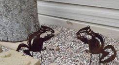 Chipmunk Wall Sculpture 1 small