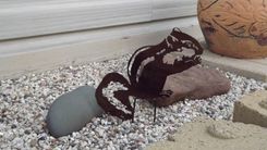Chipmunk Wall Sculpture 4 small