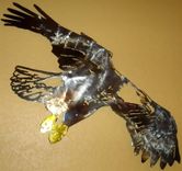Eagle Metal Wall Art 3 small