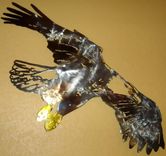 Bald Eagle Wall Art 1 small