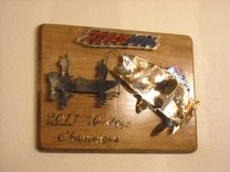 Custom Wall Plaques And Trophies 1 small