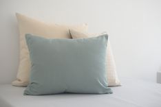 Indoor/Outdoor Sage Decorative Pillow 3 small