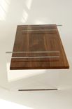 Cast Acrylic & Walnut Coffe Table 5 small