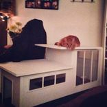 Modern Styled Cat House 1 small