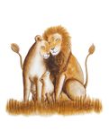 Lion Family - Original Watercolor Illustration 1 small