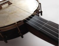 Banjo No.5 : The Camberwell Fretless 2 small
