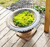 Vintage Cast Iron Garden Metal Urn Outdoor Decor 1930s 2 small