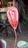 Outdoor Metal Flower Sculpture By Raymond Guest 4 small