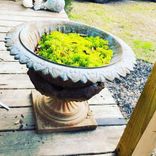 Vintage Cast Iron Garden Metal Urn Outdoor Decor 1930s 1 small
