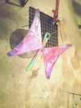 Butterfly Outdoor Garden Stake By Raymond Guest 2 small