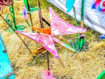 Butterfly Outdoor Garden Stake By Raymond Guest 1 small