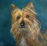 Custom Oil Pet Portraits 2 small