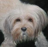 Custom Oil Pet Portraits 4 small