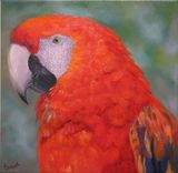 Custom Oil Pet Portraits 1 small