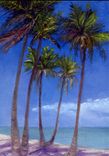 Landscape & Seascape Paintings In Oil 5 small
