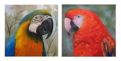Animal Art, Custom Work Accepted 5 small