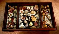 Custom Coffee Table (Display Table) 7 small