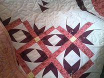 Mexican Star 4 small