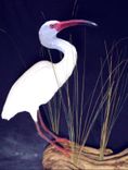 Herons Egrets Custom Waterbirds 3 small