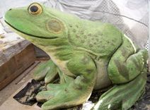 Frogs Monumental 1 small