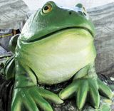 Frogs Monumental 3 small