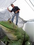 Frogs Monumental 4 small
