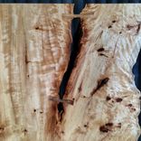 Live Edge American Elm Slab Barn Door 2 small