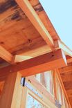 Dragonfly Teahouse 2 small