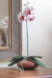 Handmade Home Decor Ikebana Beechwood Flower Vessel With White Silk Orchid 2 small