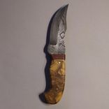 Clip Point Hunting Knife 1 small