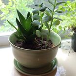 Custom Handmade Planter 4 small