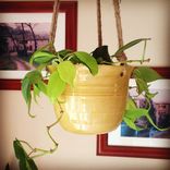 Custom Handmade Planter 3 small